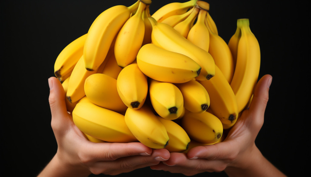 Divers - Pourquoi consommer la banane ?